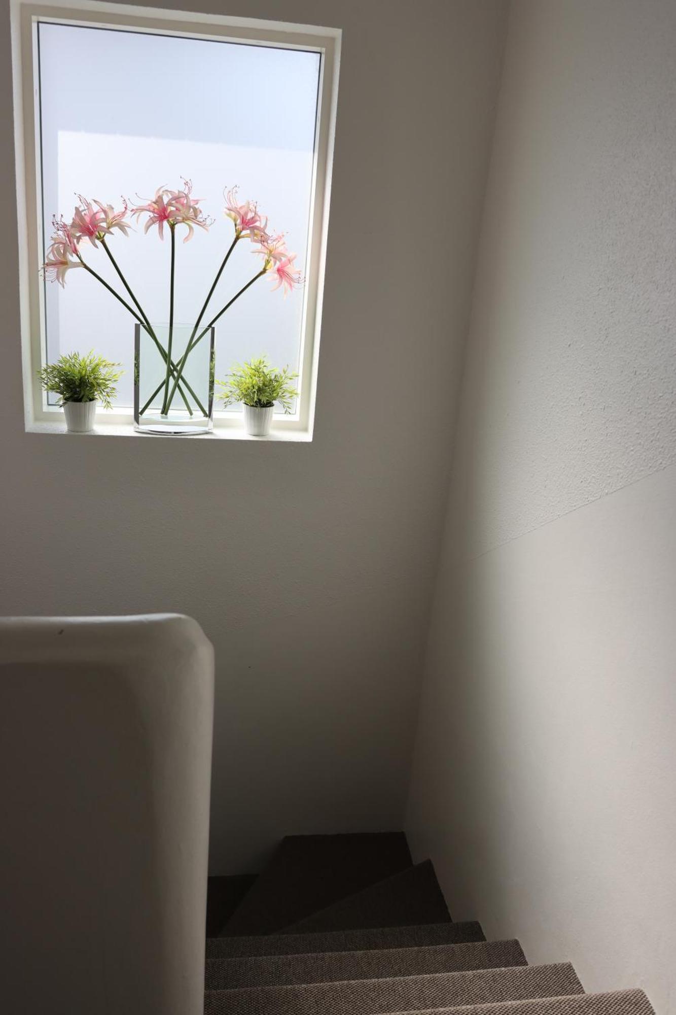 Guesthouse Dyngja Höfn Eksteriør billede